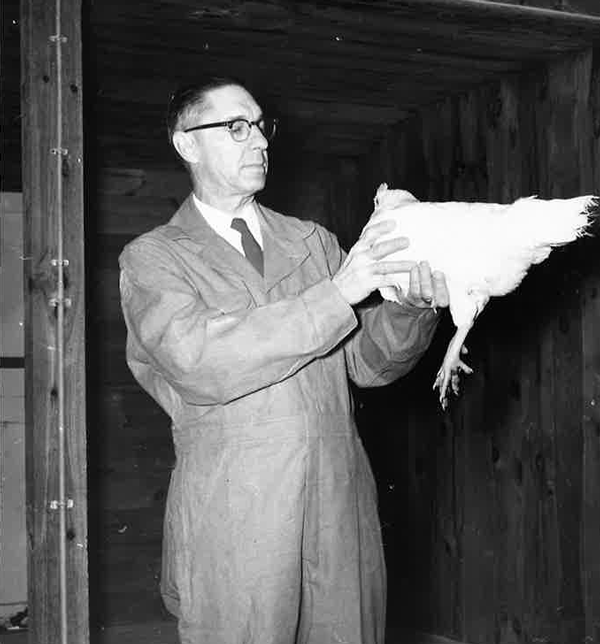 photo of researcher with chicken