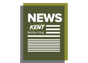 Kent news icon