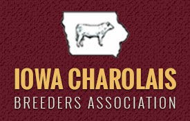 logo for Iowa Charolais Breeders Assocation