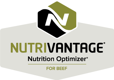 NutriVantage for Beef